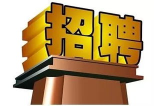 長春軟件開發(fā)行業(yè)迎來新機(jī)遇，科技創(chuàng)新助力城市數(shù)字化轉(zhuǎn)型